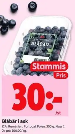 ICA Kvantum Blåbär i ask erbjuda