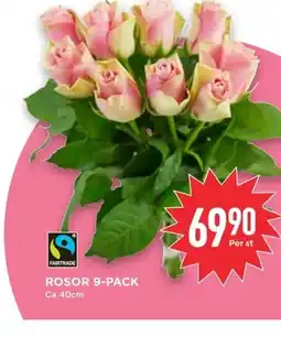 Willys ROSOR 9-PACK erbjuda