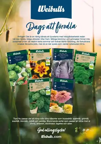 Blomsterlandet Weibull Imageannons erbjuda