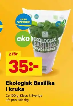 City Gross Ekologisk Basilika i kruka, SEK 35 erbjuda