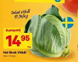 City Gross Hel färsk Vitkål, SEK 14.95 erbjuda