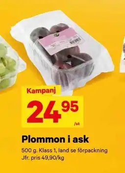 Plommon i ask, SEK 24.95