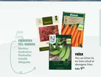 Blomsterlandet Weibull Fröpåsar erbjuda