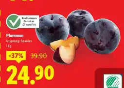 Lidl Plommon erbjuda