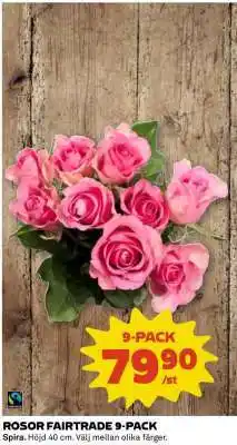 Coop Rosor Fairtrade 9-pack erbjuda