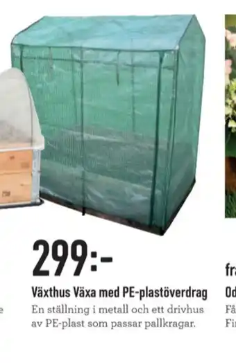 Drivhus