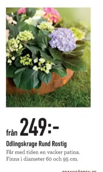 Granngården Odlingskrage erbjuda