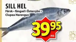 Matvärlden Tensta SILL HEL, SEK 39.95 erbjuda