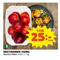 NEKTARINER I KORG, SEK 25