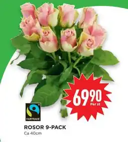 Willys Hemma ROSOR 9-PACK, SEK 69.9 erbjuda