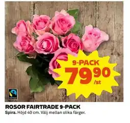 Coop Daglivs ROSOR FAIRTRADE 9-PACK, SEK 79.9 erbjuda