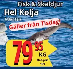 Supergrossen Hel Kolja, SEK 79.95 erbjuda