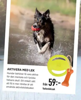 Hundleksak