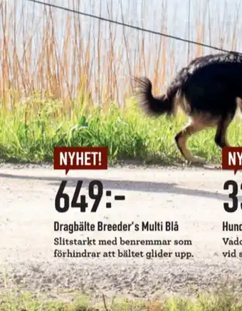 Granngården Hundsele erbjuda