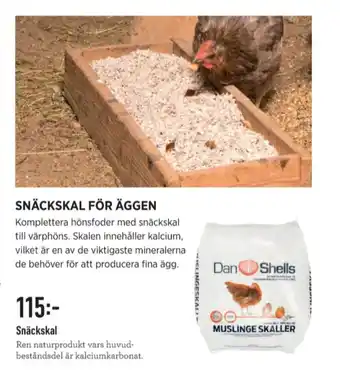 Granngården DanShell Hönsfoder erbjuda