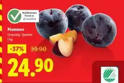 Lidl Plommon, SEK 24.9 erbjuda