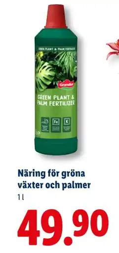 Lidl Näring för gröna växter och palmer, SEK 49.9 erbjuda