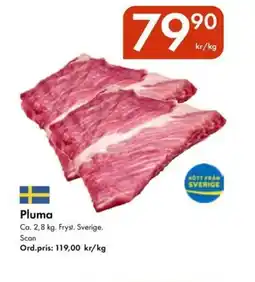 Snabbgross Pluma erbjuda