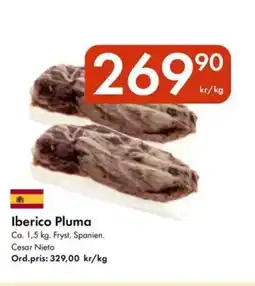 Snabbgross Iberico Pluma erbjuda