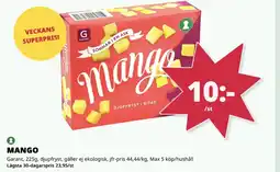 Tempo GARANT Mango erbjuda