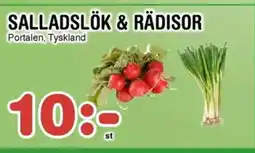 Nya Pulsen Salladslök & rädisor erbjuda