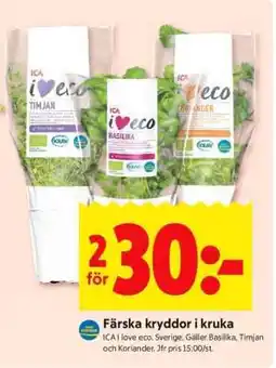 ICA Supermarket Färska kryddor i kruka erbjuda