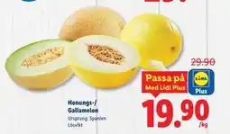 Lidl Honungs-/ Galiamelon, Medlemspris erbjuda
