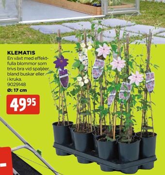 Jem&Fix Plantor erbjuda