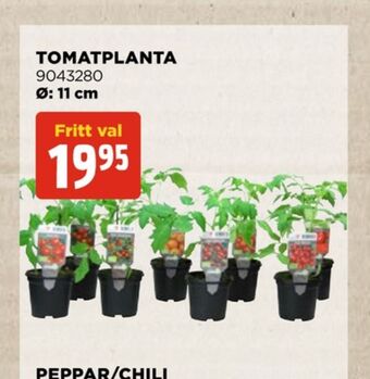Jem&Fix Plantor erbjuda