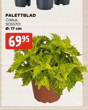 Jem&Fix Plantor erbjuda
