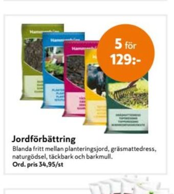 Hammenhögs Gräsmattedress