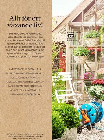 Plantagen Krukväxt erbjuda