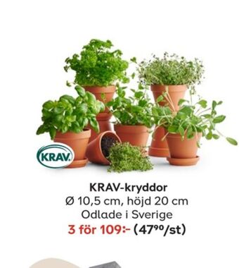 Plantagen Plantor erbjuda
