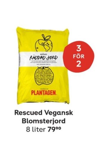 Plantagen Imageannons