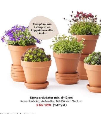 Plantagen Plantor erbjuda