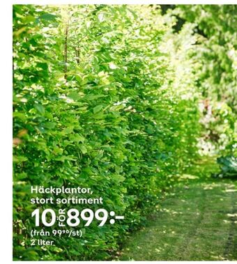 Plantagen Plantor erbjuda