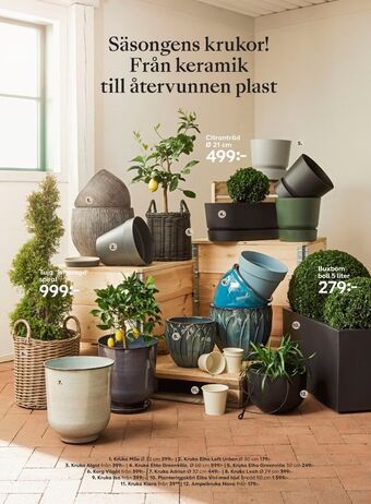 Plantagen Krukor erbjuda