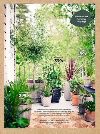 Plantagen Krukor erbjuda