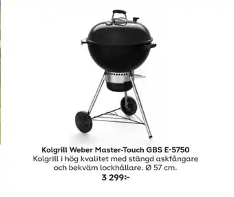 Weber Klotgrill