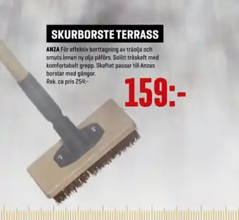 Anza Skurborste
