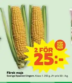Coop Färsk majs erbjuda