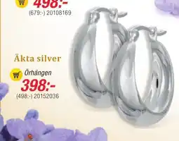 Guldfynd Äkta silver erbjuda
