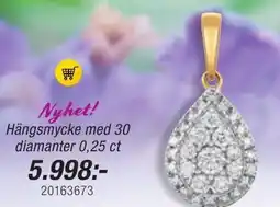 Guldfynd Nyhet! Hängsmycke med 30 diamanter 0,25 ct erbjuda
