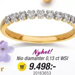 Guldfynd Nyhet! Nio diamanter 0,13 ct WSI erbjuda