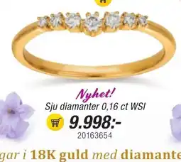 Guldfynd Nyhet! Sju diamanter 0,16 ct WSI erbjuda
