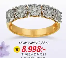 Guldfynd 45 diamanter 0,22 ct erbjuda