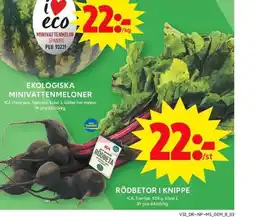 ICA Maxi RÖDBETOR I KNIPPE erbjuda