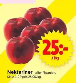Nektariner