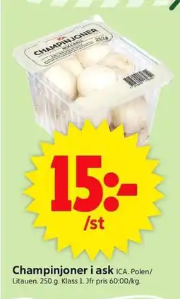 ICA Supermarket ICA Champinjoner i ask erbjuda