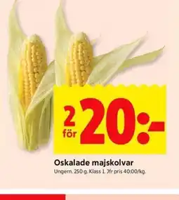 ICA Kvantum Oskalade majskolvar erbjuda